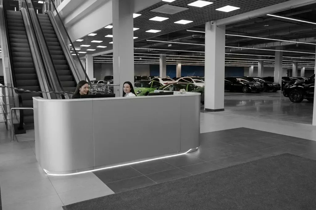 Lixiang Fresh х Dubrovskiy Syndicate — дилер Лисян в Москве