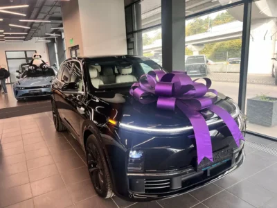 Lixiang Frank Auto - официальный дилер Лисян в Москве